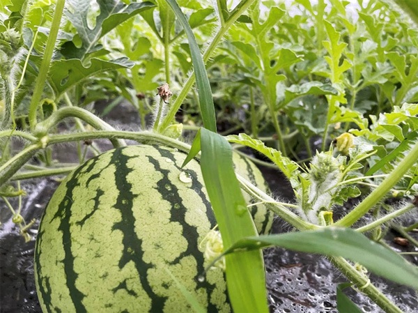 ̵ݡ̥57ԡλͥȡϡڻľۡߡۢͽ