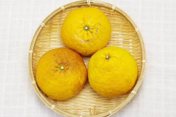 ̵ݡڤʤŲƤߤ1kgι縩ϡv1200