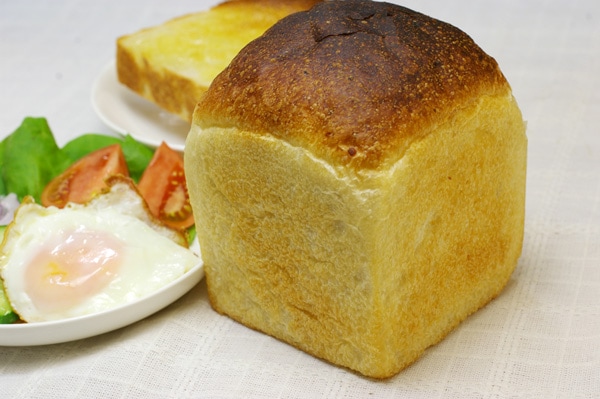 ̵ݡۼǺ뿩ѥ 1125()¤ʬۡv600