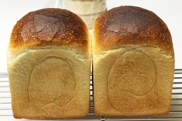 ̵ݡۼǺ뿩ѥ 1125()¤ʬۡv600