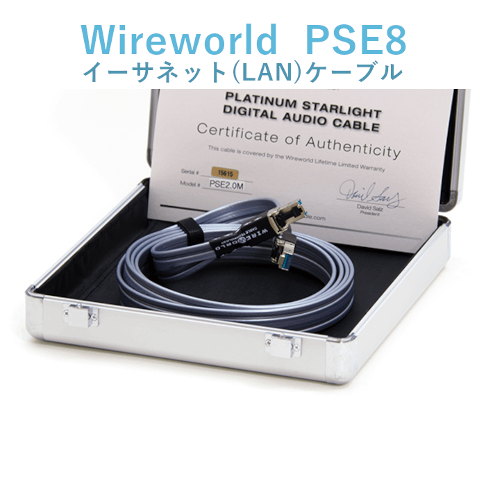 9万弱 易く WIRE WORLD PLATINUM USBケーブル 1.5m