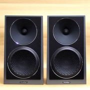 (Ÿ����ʬ��) Paradigm Founder 40B (�ե������󡦥��㥳����) ���ԡ����� / �ڥ� / 41 COLLECTIONS