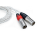 ֺ߸ͭiFi audio 4.4 to XLR cable [Х󥹥֥ 2m] 4.4mm- 3pin XLR x 2͢ʡ