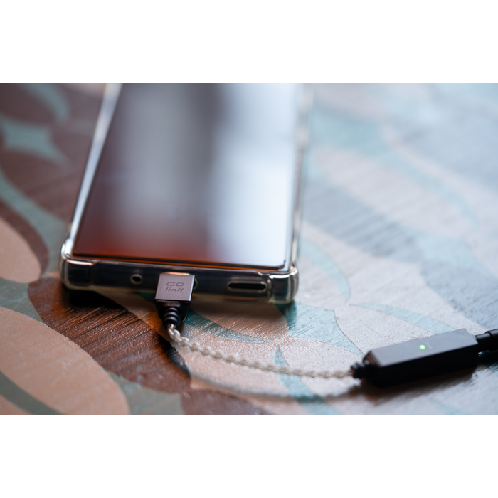 �ֺ߸�ͭ��iFi audio GO link 2 USB DAC��¢�إåɥۥ󥢥�� IFI-GO-LINK2��2026ǯ5��29��ȯ���