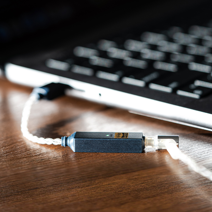 �ֺ߸�ͭ��iFi audio GO link 2 USB DAC��¢�إåɥۥ󥢥�� IFI-GO-LINK2��2026ǯ5��29��ȯ���