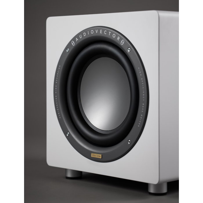 AUDIOVECTOR QR SUB SE 1�� �������ܥ��֥����ե��� �֥�å��ԥ��Ρ��ۥ磻�ȥ��륯����������������ʥå�