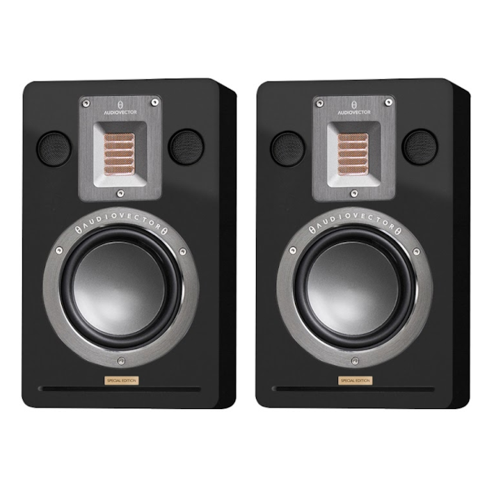 AUDIOVECTOR QR WALL SE �ڥ� 2���������Х���շ��ɳݤ����ԡ����� �֥�å��ԥ��Ρ��ۥ磻�ȥ��륯����������������ʥå�