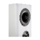 ڥڡ»桢2026ǯ112ޤǡPolk Audio R100 ۥ磻 ڥ ԡ