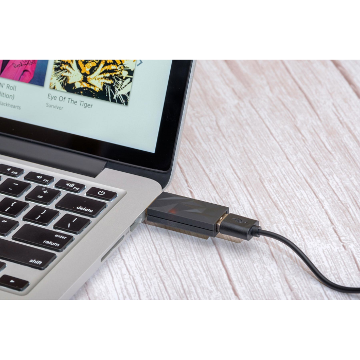 iFi Silent Power iSilencer+ Type C >Type A USB���������꡼������͢���ʡסֺ߸�ͭ��