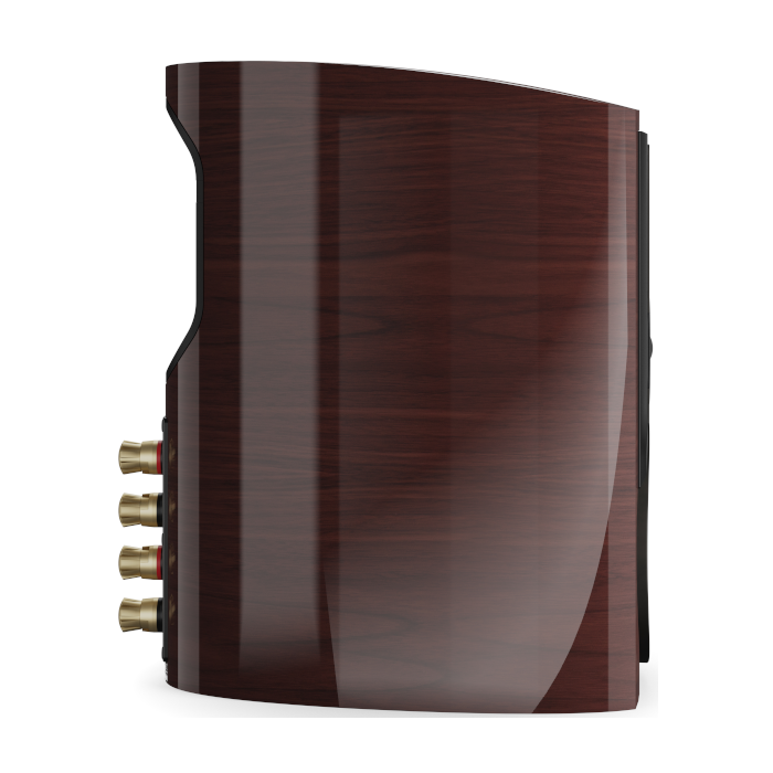 DALI EPIKORE 3 ϥޥ롼   Хշ֥åեԡ EPIKORE3MA