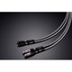 TIGLON TPL-3000X-WT 1.0m �ڥ� XLR�饤�󥱡��֥��2026ǯ9��1��ȯ���