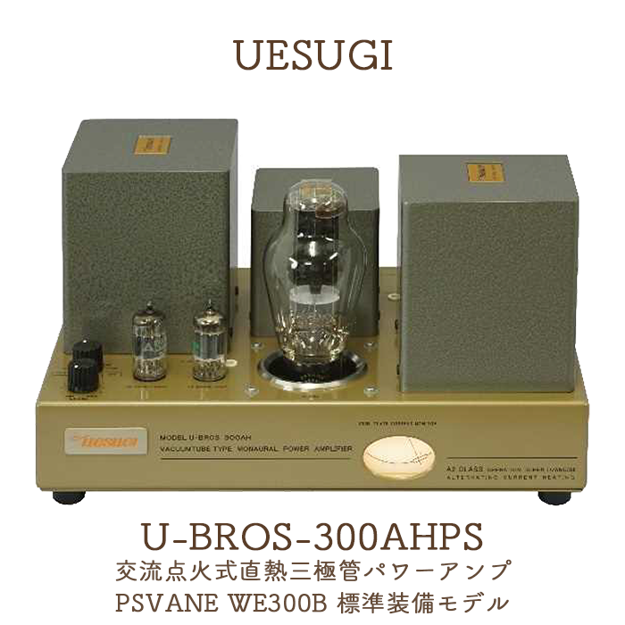 300B 真空管アンプ 本体 300B シングルエンド 内蔵 真空管アンプ A級 HiFi オーディオ