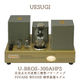 UESUGI U��BROS-300AHPS ��ή���м�ľǮ���˴ɥѥ����� ��PSVANE WE300B ɸ������)