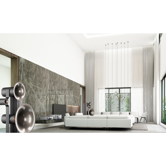 ESOTERIC GRANDIOSO C1X solo �ץꥢ���/����ȥ����륢���