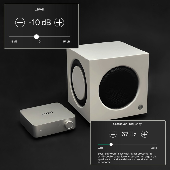 WiiM AMP ���ڡ������졼 �ޥ���롼�ॹ�ȥ꡼�ߥ󥰥���� wiim amp gray WiiM-Amp SPGY