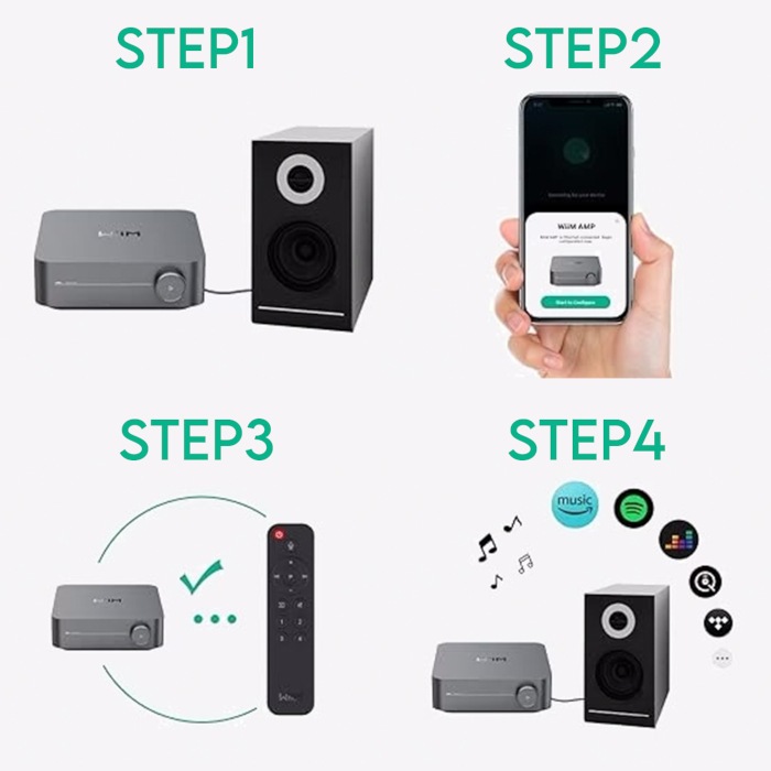 WiiM AMP ���ڡ������졼 �ޥ���롼�ॹ�ȥ꡼�ߥ󥰥���� wiim amp gray WiiM-Amp SPGY