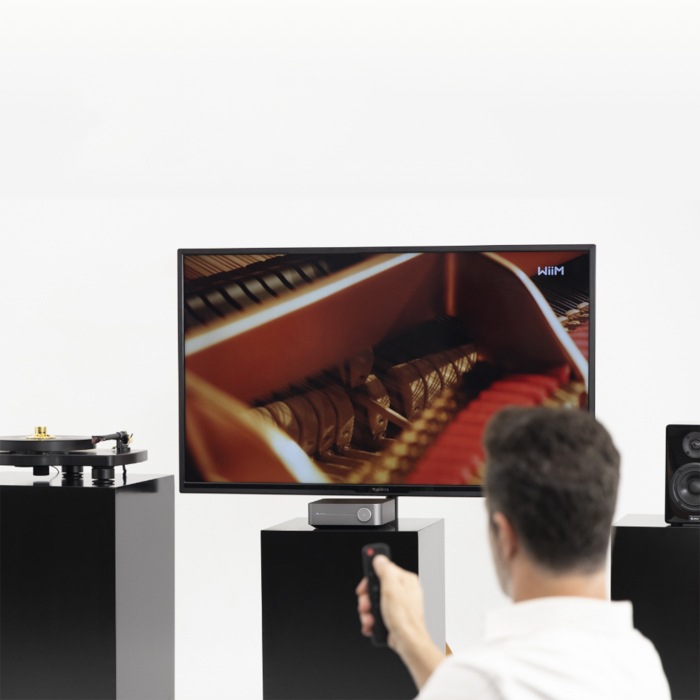 WiiM AMP ���ڡ������졼 �ޥ���롼�ॹ�ȥ꡼�ߥ󥰥���� wiim amp gray WiiM-Amp SPGY