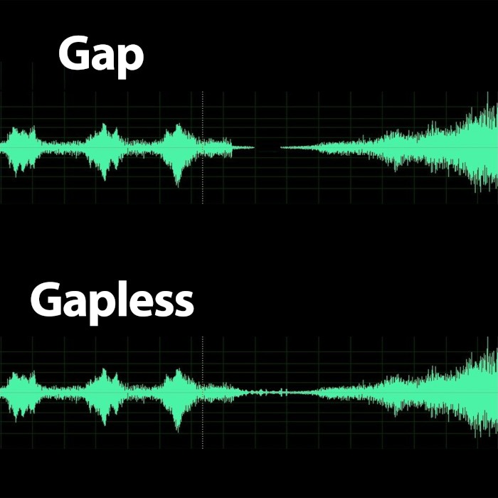 WiiM AMP ���ڡ������졼 �ޥ���롼�ॹ�ȥ꡼�ߥ󥰥���� wiim amp gray WiiM-Amp SPGY