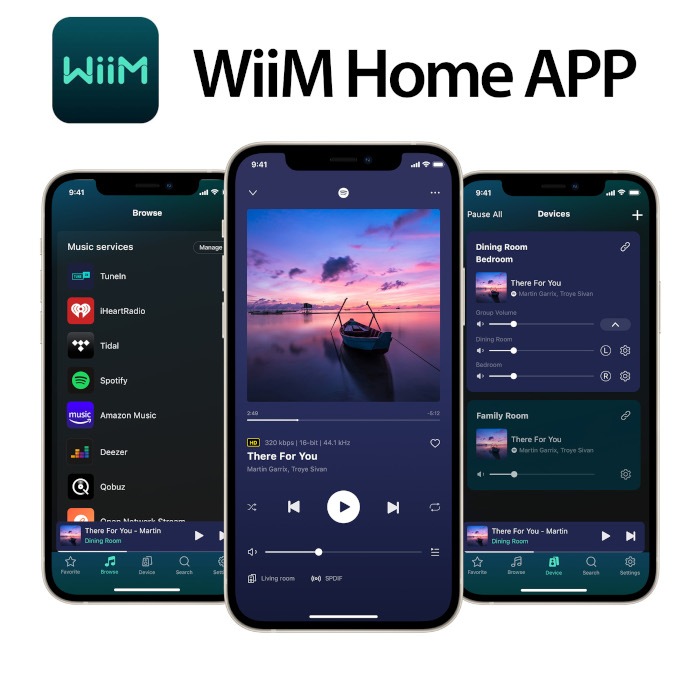 ֺ߸ͭWiiM AMP С  ޥ롼ॹȥ꡼ߥ󥰥 WiiM-Amp SV