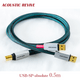 ACOUSTIC REVIVE USB-SP-ABSOLUTE 0.5m 1�� USB�����֥� USB Type-A��2��USB Type-B ������1500m������  USB-SP-ABSOLUTE0.5