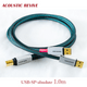 ACOUSTIC REVIVE USB-SP-ABSOLUTE 1.0m 1�� USB�����֥� USB Type-A��2��USB Type-B ������1500m������ USB-SP-ABSOLUTE1.0