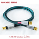 ACOUSTIC REVIVE USB-SP-ABSOLUTE 2.0m 1�� USB�����֥� USB Type-A��2��USB Type-B ������1500m������
