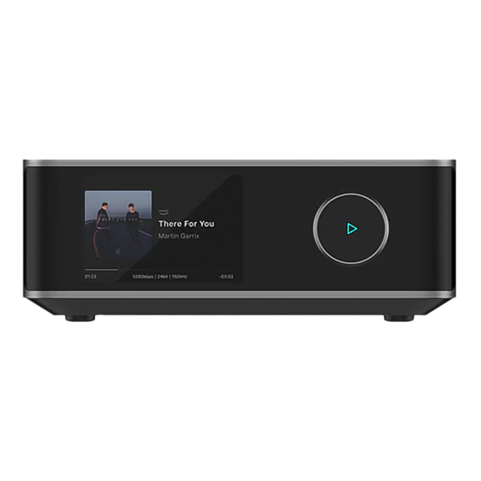 WiiM  WiiM Amp Ultra ���ڡ������졼 �������¢�����ǥ������ȥ꡼�ޡ� WIM-WAMPULTRA-SG