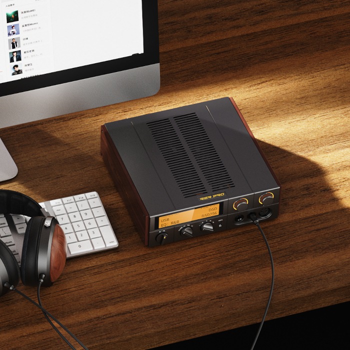 FiiO K17 R2R ����С� USB-DAC��¢�إåɥۥ󥢥�� FIO-K17R-S��2026ǯ9��18��ȯ��ֺۡ߸�ͭ��