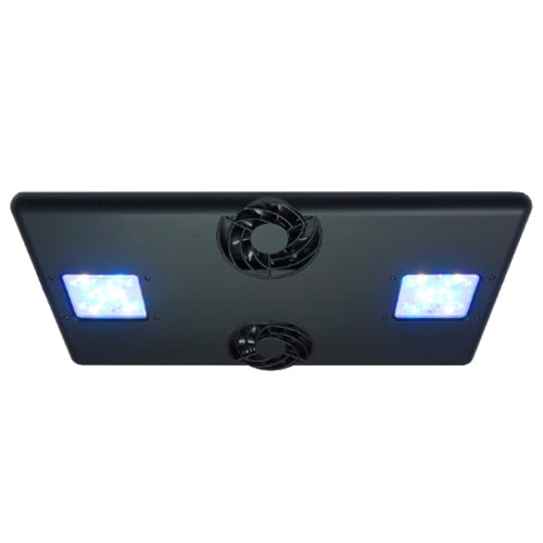 ボルクスジャパン グラッシーコア X120 リーフ (LPS model) マリン