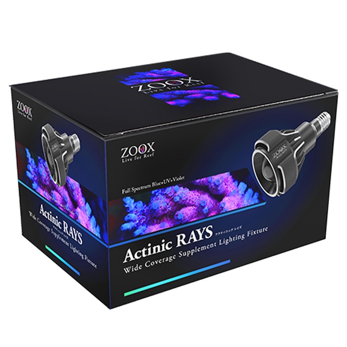 Actinic Shiner 60 zoox