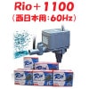ߥϥ Rio+1100 (:60Hz)  ݥ ꥪץ饹 