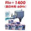 ߥϥ Rio+1400 (:60Hz)  ݥ ꥪץ饹 