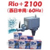 ߥϥ Rio+2100 (:60Hz) ݥ ꥪץ饹 
