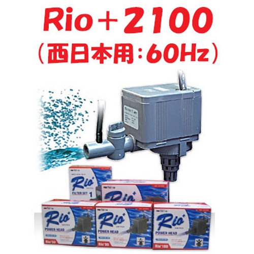 Rio 2100 水中ポンプ カミハタ　50hz 015004000013_Tnt51lh.jpg