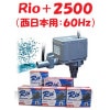 ߥϥ Rio+2500 (:60Hz) ݥ ꥪץ饹 