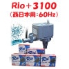 ߥϥ Rio+3100 ݥ (:60Hz) ꥪץ饹