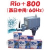 ߥϥ Rio+800 (:60Hz) ꥪץ饹 ݥ 