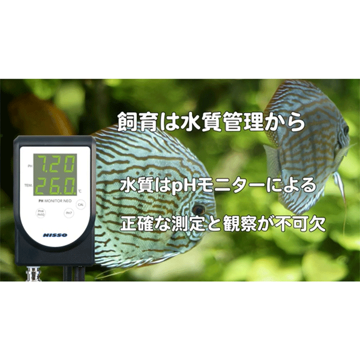 �˥å��� PH��˥���NEO ��¬������ ���¬��� NCM-045 �ڡ��ϡ���˥����ͥ� PH¬��� �ڡ��ϡ�¬���