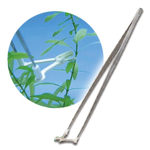 ��� �ԥ󥻥åȥХ��� ��� ������N ������ ������