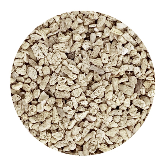 JUN �˾奵�� NO.5 ������ 5kg �쾲 ���� ���󥴺�