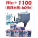 ���ߥϥ� Rio+1100 (��������:60Hz)  ����ݥ�� �ꥪ�ץ饹 ������