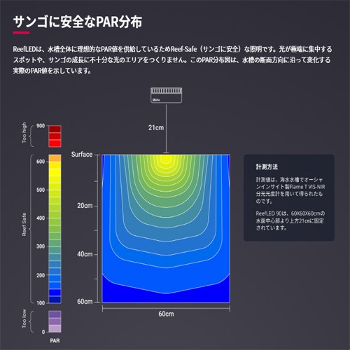 ��åɥ��� �ң��� �̣ţ� ���� �� �ϥ󥮥󥰥��å� ���å� ���� ���Ȥ� �̣ţĥ饤�� ������ �ϥ󥮥�
