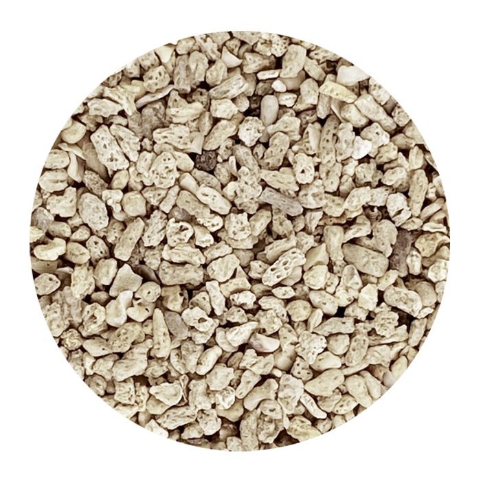 ��5�����åȡ�JUN �˾奵�� NO.5 ������ 5kg �쾲 ���� ���󥴺� ��������ξ��ʤ�13���ޤǤΤ���ʸ��¨��ȯ���Ȥʤ�ޤ�