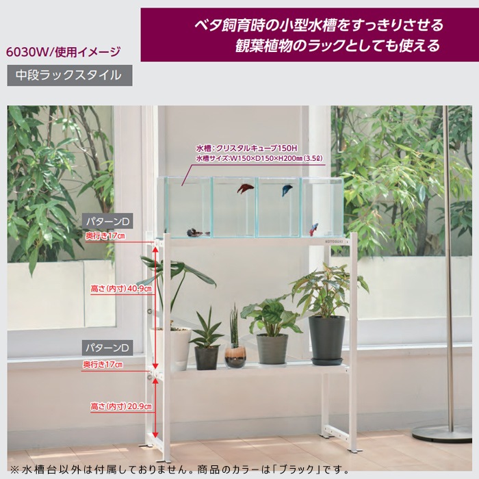 ڿʡ ȥ֥ å 6030 ֥å   ӥͥå 60cm  