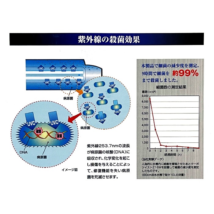 ߥϥ ܥĥZ (9W)  ø厥ξ 300Lʲο 