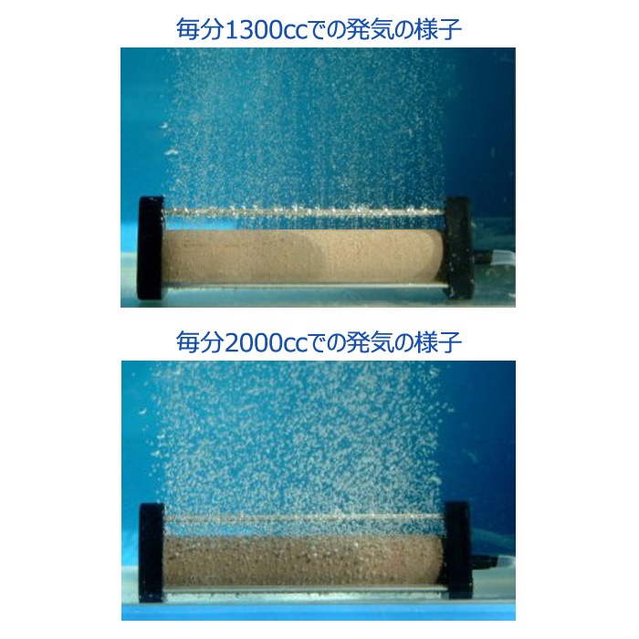 ���֤� �������ȡ��� ����ߥå��������ȡ��� (30�ա�150#150)