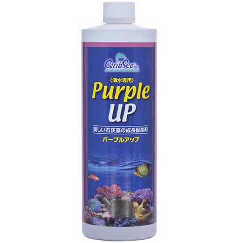 ����֥��� ���ߥϥ� �ѡ��ץ륢�å� ���������� ���� ����ǥ�����ʡ�