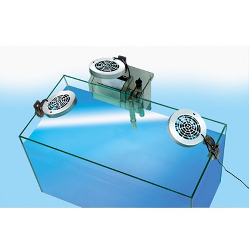 �͵�NO1�ե��� �ƥȥ� ������ ���֥륯����ե��� �ãƣ�-������ �����⥹���å��� ��ѥե��� �͵�NO1