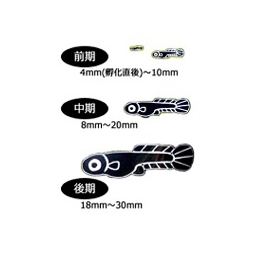 ���硼��� �Ҥ���ץ�󥯥ȥ� ���� �Ӹ� �����奦 ������ʤɤ��յ��ѥա��� �������� ��� �յ� ����� ����