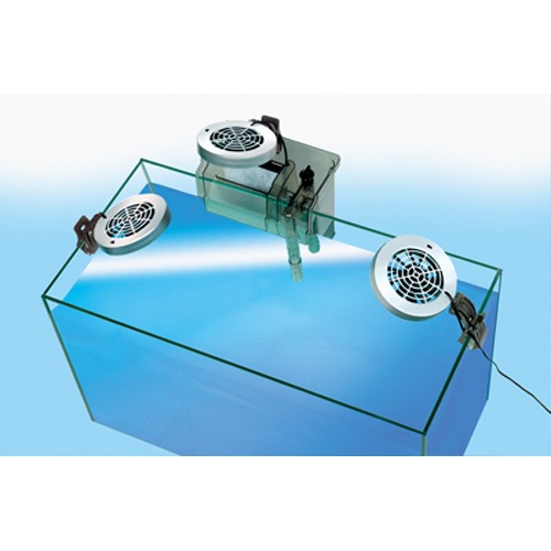 �ƥȥ� ������ ������ե��� �ãƣԡݣ��� �����⥹���å��� ������ ��ѥե���